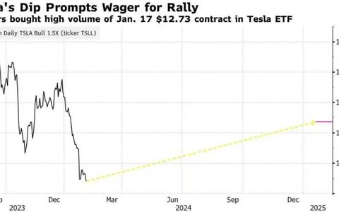 特斯拉（ tsla）2024年开年后已跌近30%